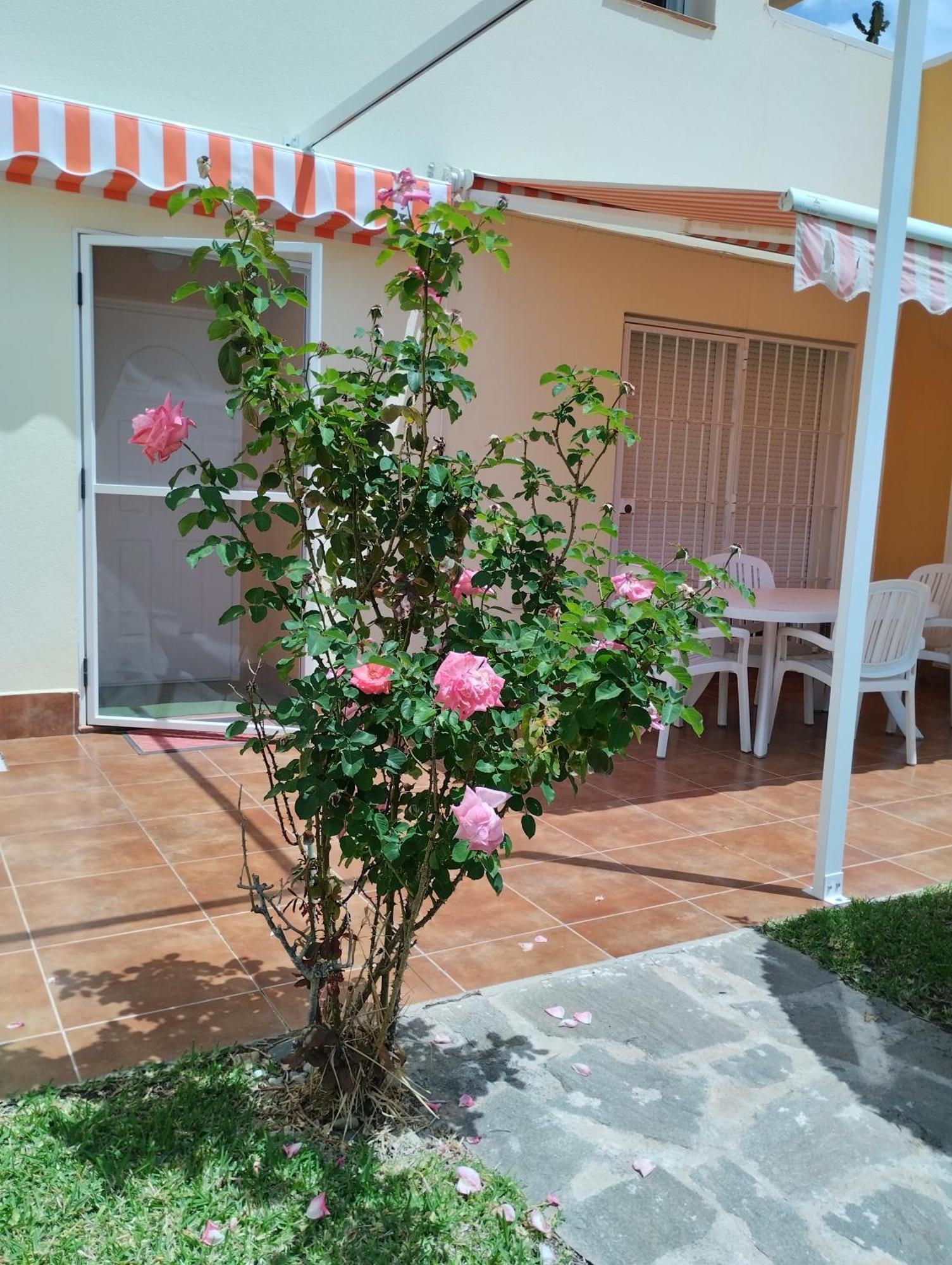 Bahia De Vera Apartamento Aquaria ภายนอก รูปภาพ